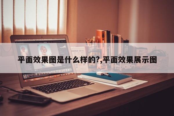 平面效果图是什么样的?,平面效果展示图
